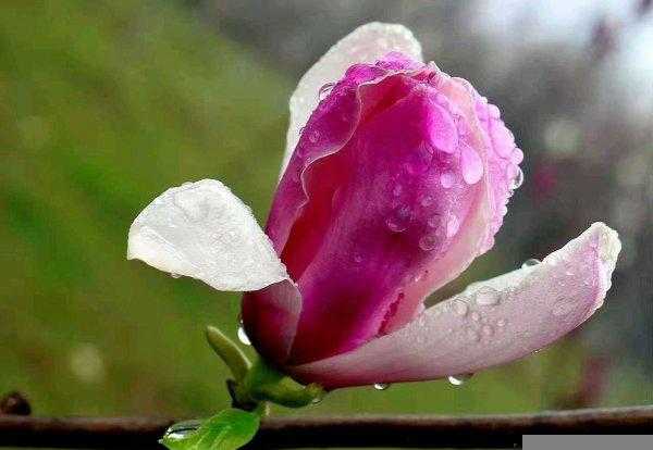 四月份是什么季节