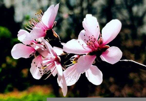 四月份是什么季节