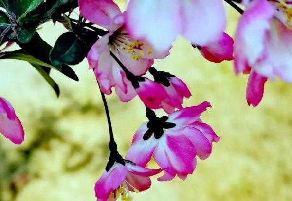 四月份是什么季节