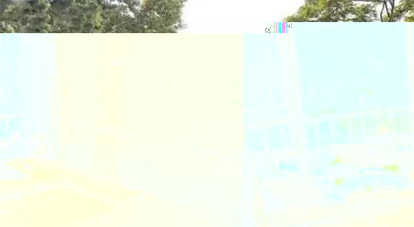 枕巾发黄的汗渍发黄怎么清洗