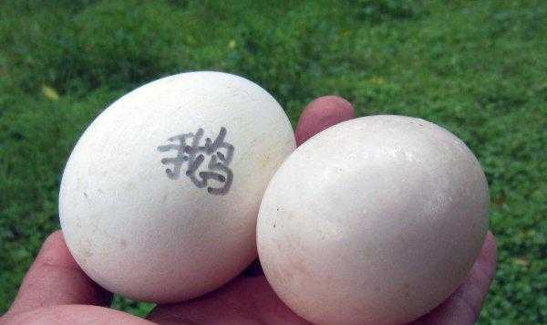 一个鹅蛋的热量等于几个鸡蛋