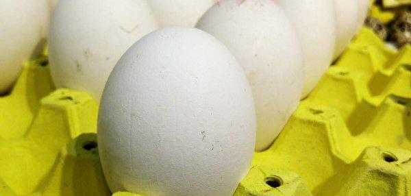 一个鹅蛋的热量等于几个鸡蛋