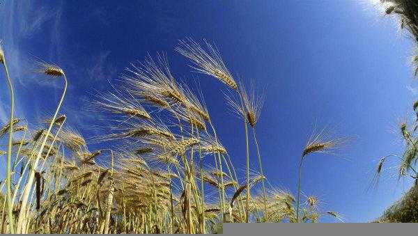 风能是可再生资源吗