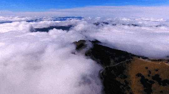 神农架在什么地方