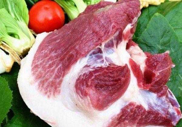 饺子馅用猪的哪块肉好