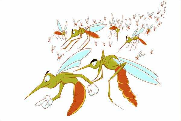 物理驱蚊子最有效的方法窍门