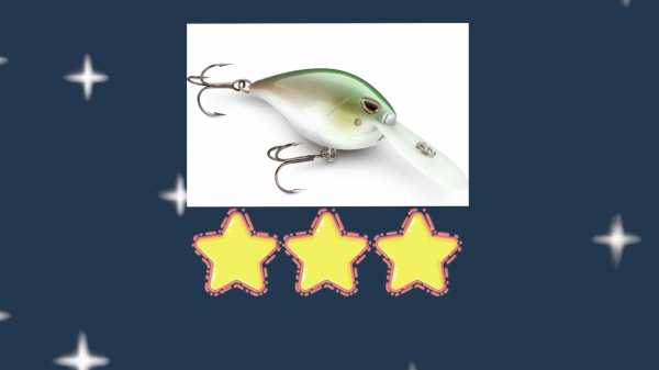 夜晚路亚用什么饵合适