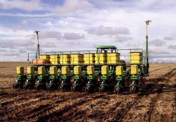 去年的玉米种子今年还能种吗