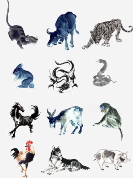 家里出现老鼠是吉是凶