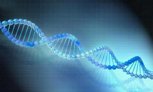 死后的人都去了哪真相