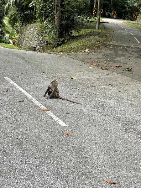 马来西亚比中国富裕吗