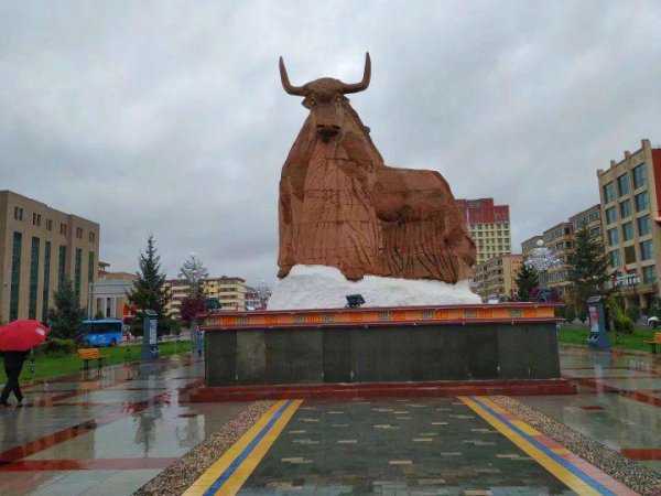 合作市海拔多少米