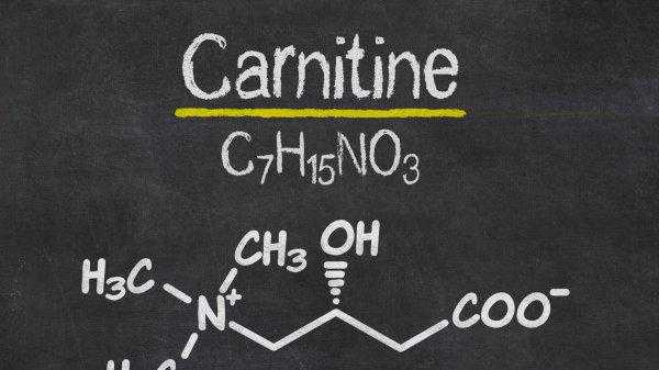 健身用的左旋是什么东西