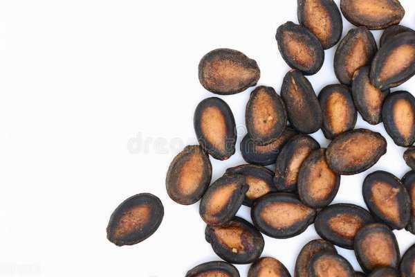 爬山带什么吃的比较好