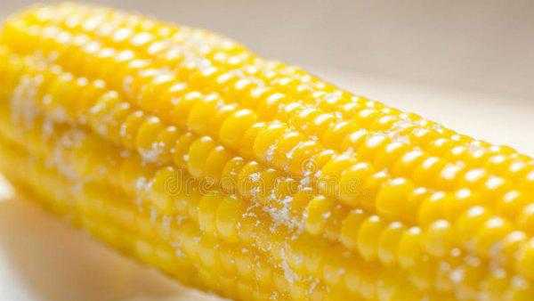 玉米要蒸多少分钟才能熟