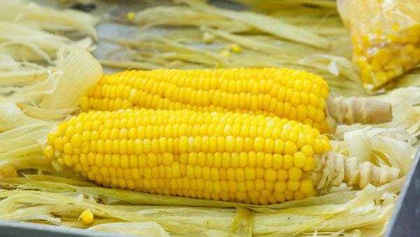 玉米要蒸多少分钟才能熟