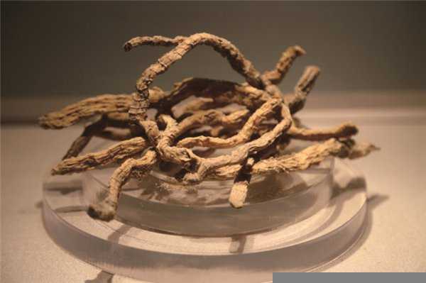 中医六气指的是哪六气