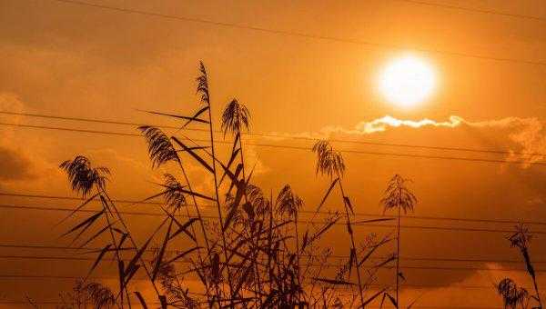 官场小说哪个最好看