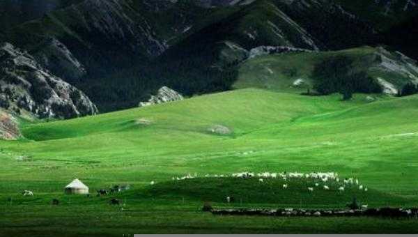 中国最大城市面积排名顺序