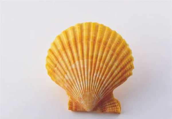 德佑地产和链家房产的关系