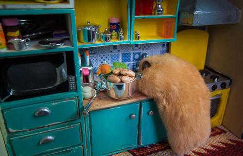 肥皂剧是什么意思