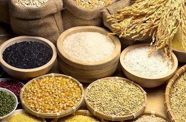 真正的五谷杂粮是哪几种粮食