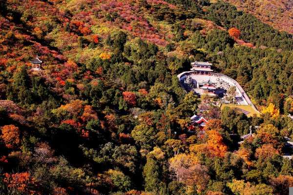 温带季风气候特点及分布地区