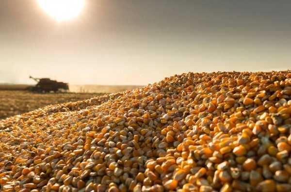 户口和父母分开的利弊