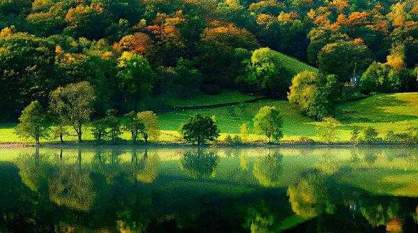 世界的统一性在于它的什么