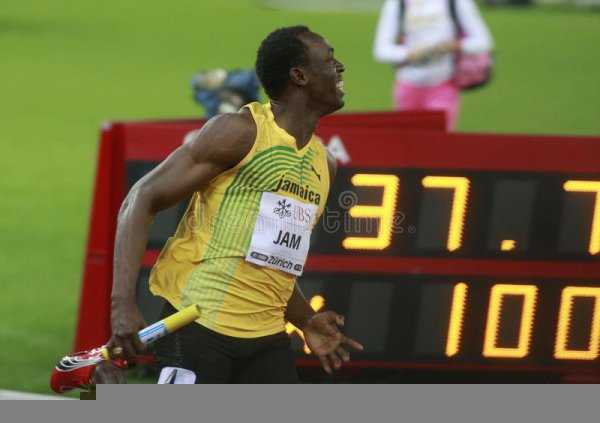 跑得最快的动物前十名