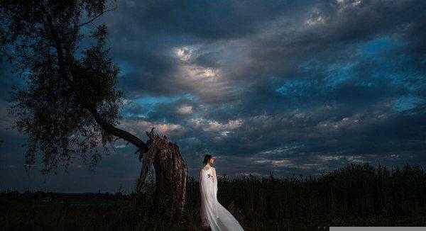 高质量的且多女主的小说