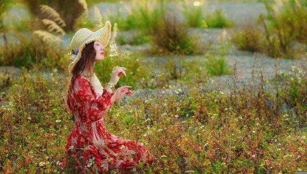 高质量的且多女主的小说