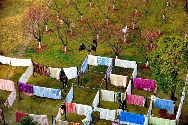 家庭去螨虫的最有效方法