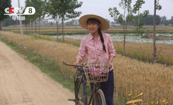 兰桐花开剧情介绍