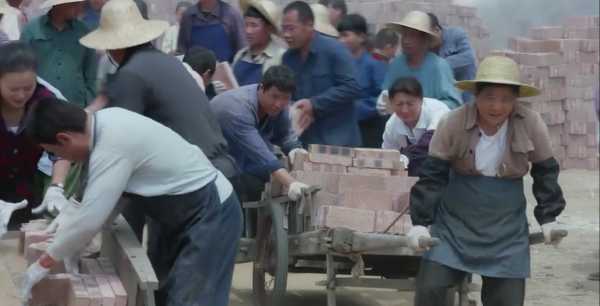 兰桐花开剧情介绍