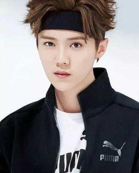 误入娱乐圈的明星