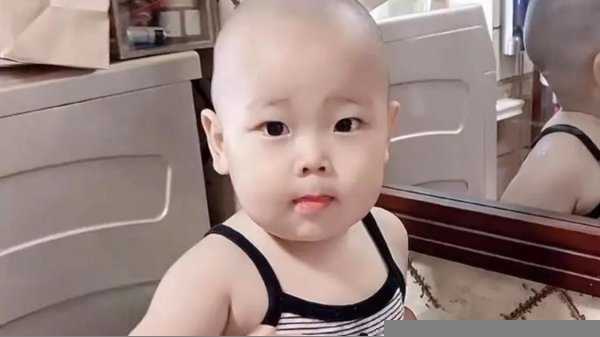 凭借拆家走红的网红小橙子