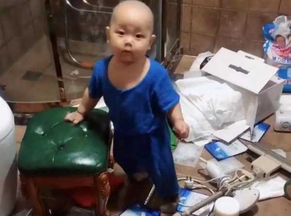 凭借拆家走红的网红小橙子