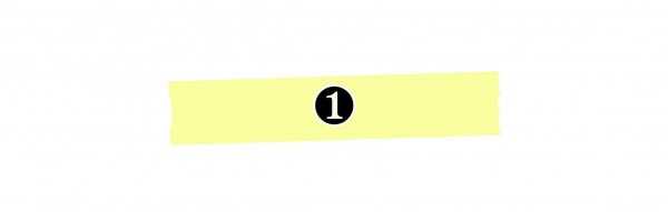 凭借拆家走红的网红小橙子