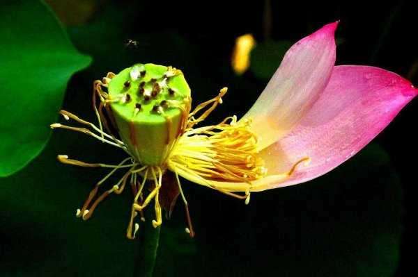 我等你到三十五岁讲的什么故事内容