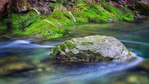 山郡逢春复乍晴谁写的