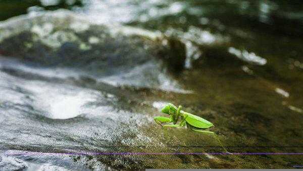 山郡逢春复乍晴谁写的