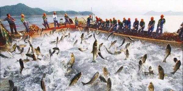 百里画廊是福建的哪一个城市