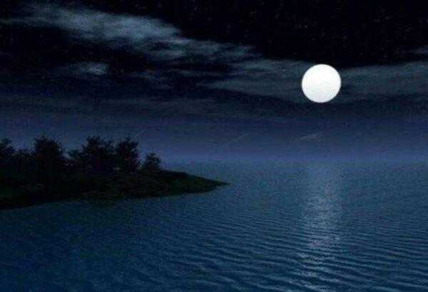 十五夜望月写作背景资料