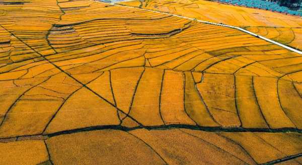 天府之国指的是哪里