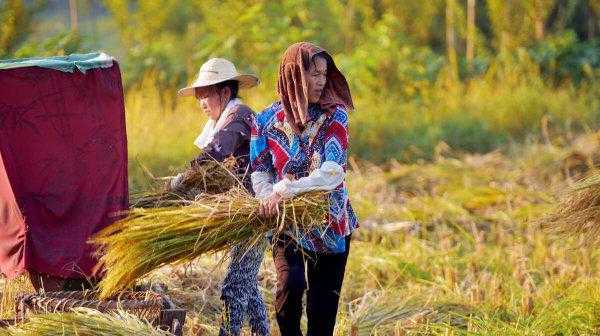 农村留守妇女怎么解决