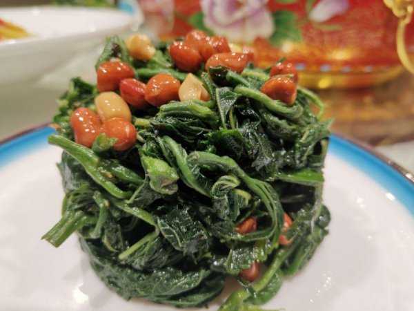 桑叶什么时候采摘最好