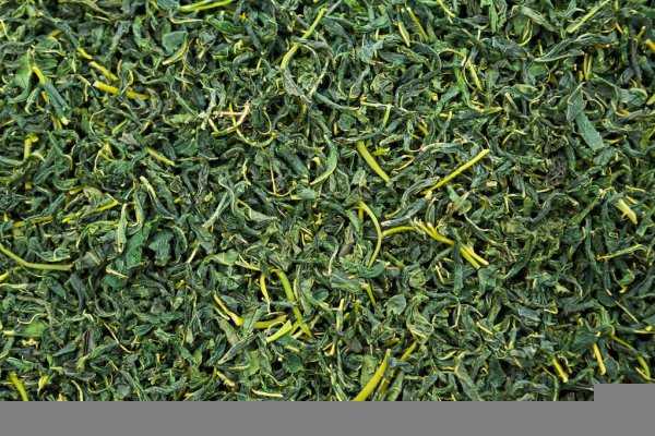 桑叶什么时候采摘最好