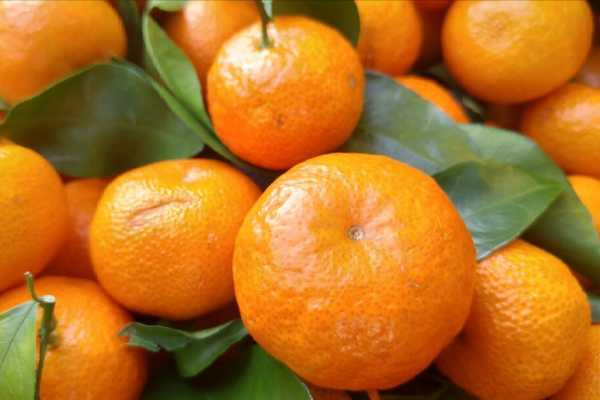 八种寓意很好的水果