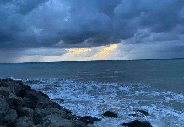 刑满释放回来需要办哪些事情